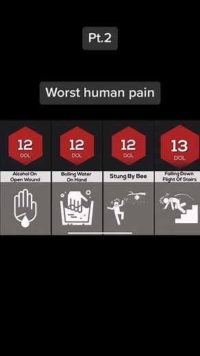 Ranking the Worst Human Pain: Pt. 2