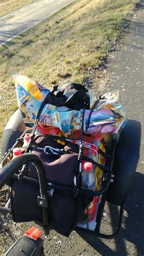 Einkaufen mit dem E-Bike und dem Lastenanhänger Sonnig und Warm 71 Euro #cargotrailer #ebike #mtb