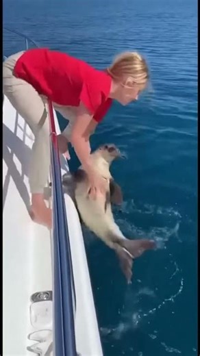 The Secret Behind Animal Attacks on Humans