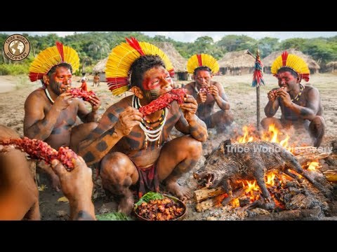 Inside Kayapo Tribe Daily Life, Forest Survival, and Cultural Continuity