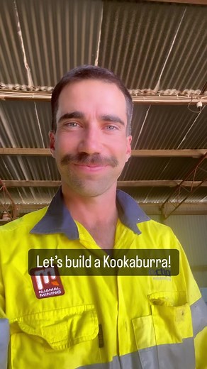 201K views · 4.6K reactions | The construction process of the Laughing Kookaburra. You can’t tell from this video but it actually took 4 attempts to get that beak right, each one looking like it was a different bird. Also the mo is back in action for Movember for all things men’s health so go easy on me 兩 | Jordan Sprigg Sculptures | Facebook