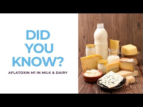Aflatoxin M1 in Milk & Dairy products