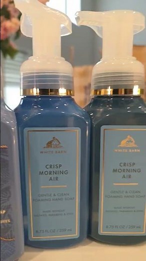 Bath & Body Works Hand Soaps ARE ON SALE — Best Ones to Grab NOW!