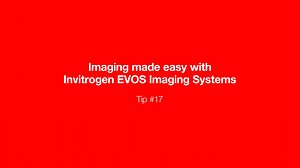 Imaging made easy - EVOS Tip #17 - Scientific Videos | Thermo Fisher Scientific US