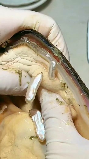 Alya on Instagram: "Silver bar shape pearls, so shiny!❤ #pearl #pearls #pearljewelry #jewelry"