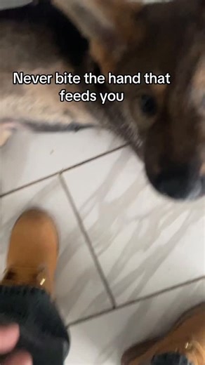 nichified on Instagram: "在日本，研究人员正利用智能人行道将日常活动转化为清洁能源⚡。这些道路内嵌特殊的压电材料，可以从行人的脚步中收集动能。当人们行走、奔跑或跳跃时，路面会轻微变形，从而产生机械压力。压电晶体将这种压力转化为电能🪫。这些能量可用于照亮路灯、为公共显示屏供电，甚至监测行人流量。 这种技术不仅减少了能源浪费，还展示了未来城市的无限可能🌍。在东京、京都等城市的试验区，人们的每一步都在为绿色地球贡献力量💚。科技让生活更环保，也让每一个脚步更有意义✨ #日本 #科技 #创新 #可持续 #绿色能源 #未来城市 #环保 #知识 #事实 #推荐 #你知道吗 #技术 #实验 #热门"