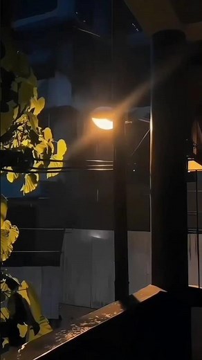 cap cuts filter tutorial