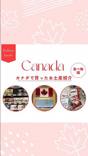 カナダお土産紹介🇨🇦 #カナダ食べ物 #カナダお土産 #カナダおすすめお土産 #カナダ旅行