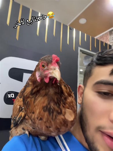 Întâlniri amuzante: Cine s-a întâlnit cu cine?