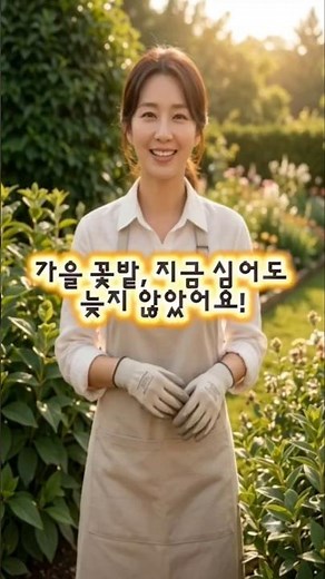 서리 내릴 때까지 피는 가을 꽃? 가을 정원 지금 준비하세요!#가을꽃#여름에심어도되는꽃#메리골드#국화#shorts