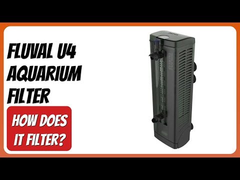 REVIEW (2025): Fluval U4 Aquarium Filter. Features.