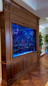 Liquid Art! 🐠 | Infinity Aquarium Design