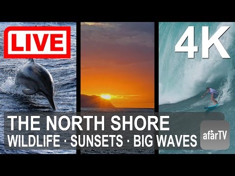🔴 Live Now: 24/7 Famous North Shore of Oahu, Hawaii in 4K Ultra HD
