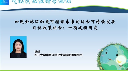 加速全球迈向更可持续未来的综合可持续发展目标政策组合:一项建模研究
