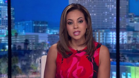 Chandler City Council shoots down proposed AI data center