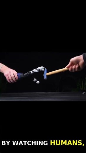 Meet the Orca Hand: A Revolutionary 3D-Printed Robotic Hand