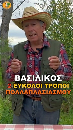 Θέλεις να έχεις βασιλικό στο σπίτι εύκολα και με ελάχιστο κόστος;