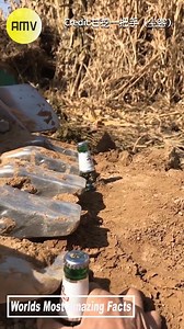 15K views | Excellent skill of excavator driver | Brasil Cake Style | Facebook