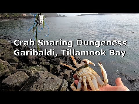 Crab Snaring Garibaldi Tillamook Jetty on the Oregon Coast