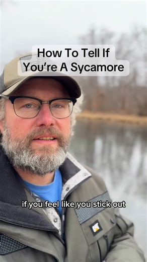Pete Nunnally on Instagram: "How To Tell If You’re A Sycamore #nature #growth #spirituality #church #wilderness"