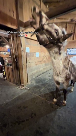 Understanding Ragebait in Everyday Life