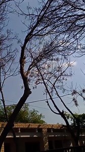 🫶🧿🖤Long Distance Relationship ❤️ #militarylife #militarylove | Military Love