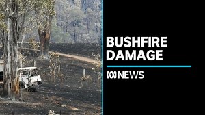 Residents assess bushfire damage as northern NSW faces emergency