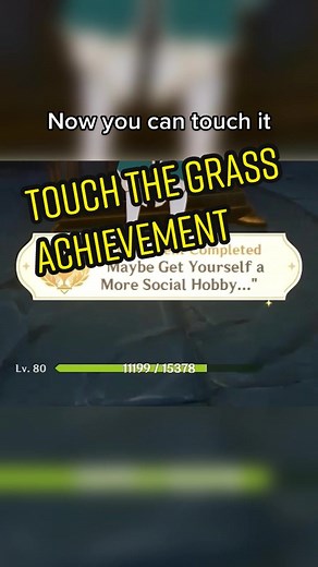 Achievement Unlocked: Touch the Grass Experience