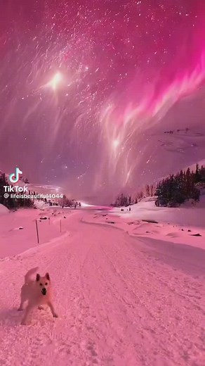 Have a beautiful Christmas Day, everyone!!! | Nikki Fuller