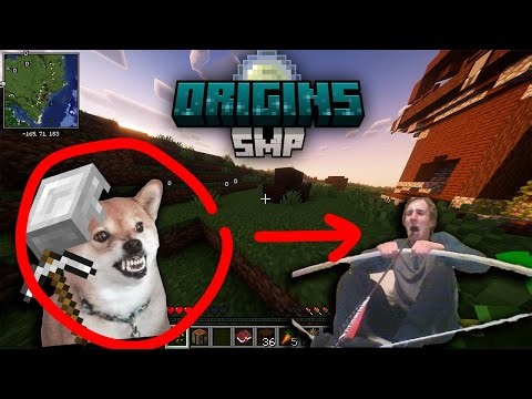 THE MINECRAFT ORIGINS SMP HAS BEGUN!!