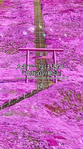 春のおすすめ24スポットの名称はこちら↓↓↓ 昨日札幌で桜が咲いたのを見てテンション上がったので、北海道の素敵な春をまとめてみましたよ。 函館 ・桜ヶ丘通り ・五稜郭タワー ・五稜郭公園 東藻琴 ・東藻琴芝桜公園 安平 ・安平町菜の花さんぽ 小樽 ・手宮公園 ・天上寺 ・水天宮 札幌 ・中島公園 ・白石ココロード ・滝野すずらん丘陵公園 羊蹄山 ・望羊の丘 ・三島さん家の芝桜 滝川 ・滝川菜の花まつり 余市 ・余市川桜並木 ・旧余市福原漁場 旭川 ・上野ファーム 道南 ・松前公園 ・サラキ岬 ・松前藩戸切地陣屋跡 全道各地 ・古平明和神社 ・富良野上御料の一本桜 ・かみゆうべつチューリップ公園 ・浦臼神社 それぞれ見頃の時期は違うので個別に紹介していきますが、既に載せている場所もあるので気になる方は4月の投稿を遡って見てみてください。こうまとめてみると、まだまだ行けていない北海道の桜の名所がたくさん。桜って全道各地で一斉に見頃を迎えるから一気に見るのが難しいのですよね。今年はまだ撮っていない場所も回ろう。今から楽しみ。 Hakodate ・Sakuragaoka Street ・Gor