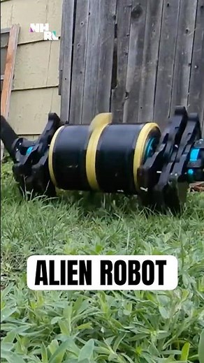 Meet the Most Unhinged Robot Design