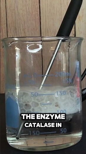 Inquiry Lab Energy in Organisms
