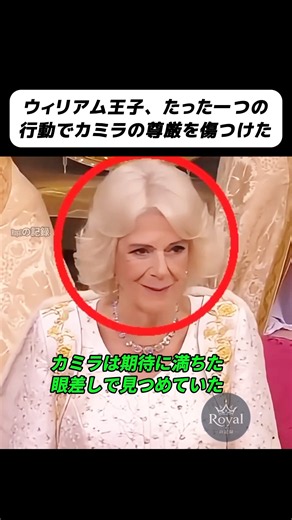 ウィリアム王子、たった一つの行動でカミラの尊厳を傷つけた #ウィリアム王子 #カミラ王妃 #チャールズ国王