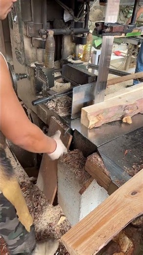 Watch Premium Masson Pine Get Processed Into Quality Timber! 🪵🔥#woodworking