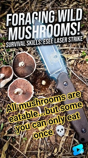 ESEE Laser Strike #mushrooms #survival #fixedblade picking mushrooms for breakfast