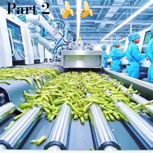 🍌Banana Powder Factory Process | How Banana Powder Is Made in Modern Factory🏭 Amazing FoodProcessing