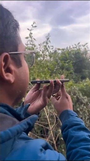 Line Transect #Linetransect #transect #estimation #worldrecord #biggest #largest #census #wildlife