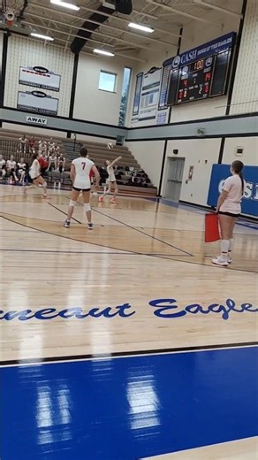 Net Violation or 4th Touch? #volleyball #pass #volleyballlife #defensivespecialist