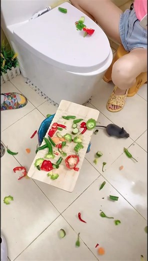 Amazing Utility - New Gadgets, Smart Appliances, Kitchen Tools Utensils, Home Inventions #shorts