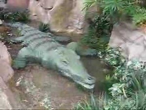 Rainforest Cafe Animatronics