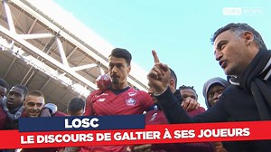 425K views · 10K reactions | ⚽️ LOSC  Le discours et l'explosion de joie de Christophe Galtier et de ses joueurs après leur victoire face à Bordeaux !  "Semaine après semaine vous êtes devenus de grands joueurs" | beIN SPORTS France | Facebook
