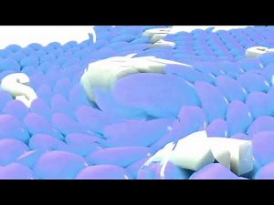 Samsung Logo Balls in Broke in Too Ruins Tree in G-Major 103 in G-Major 1 Squared