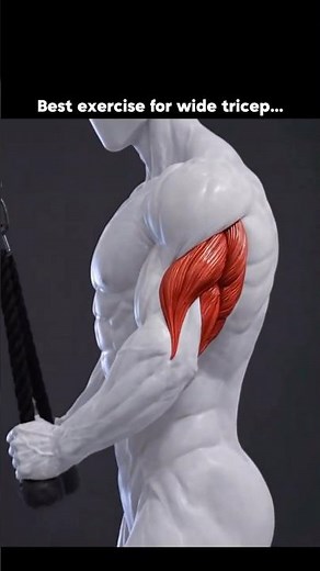 The Secret to Massive Triceps? 🦾 | Rope Pulldown Form #gymtips #trending #viral #tricepworkout