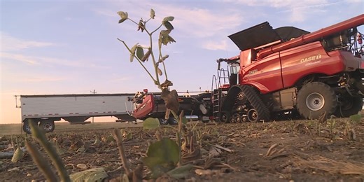 Farmers, ranchers eligible for federal disaster assistance