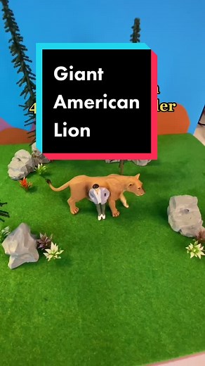 Giant American Lion: Uncovering the World Record Size