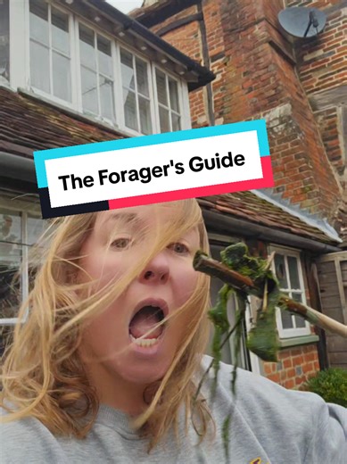 Learning to identify wild edible plants and herbs with this amazing foraging guide book 🌿 Perfect for camping, bushcraft, hiking and outdoor cooking. If you love foraging, wild food, survival skills or nature walks, this guide makes plant identification so much easier. #tiktokmademebuyit #bushcraft #foragingtips #forager #foraging