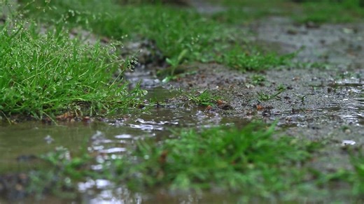 Rain drops in a puddle in slow motion - Free Stock Video