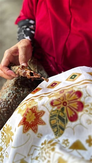 Have you ever heard of 'tjanting' or 'canting'? Refers to a specific tool used in the traditional Indonesian art of batik. This tool is a small, spouted device used to apply hot wax onto fabric. The canting typically consists of a wooden or metal handle with a small, bowl-shaped reservoir at the end, which holds the melted wax. The spout of the canting allows the wax to flow in a controlled manner, enabling artists to create intricate patterns and designs on the fabric. Visit our store for more 