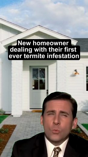 When you realize homeownership comes with unexpected challenges... 🏠 Don't panic! Call in the professionals at AAA Pest control. #pestcontrol #theoffice #michaelscott #stevecarell #termites #homeowner #miamiflorida | AAA Pest Control